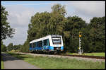 VT 114, 648614-3, der Bentheimer Eisenbahn hat Nordhorn am 3.9.2019 verlassen und ist hier ca. zwei Kilometer östlich von Nordhorn um 10.42 Uhr unterwegs nach Bad Bentheim.