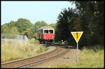 TWE VT 03 unternahm am 14.9.2019 eine Sonderfahrt von Lengerich zu einer Werksbesichtigung nach Georgsmarienhütte. Veranstalter war Eisenbahn Tradition. Hier ist der VT im Ortsteil Ohrbeck in Hasbergen auf der Werksbahn unterwegs und passiert eine Langsam Fahrstelle. Ursächlich dafür war ein unter die Gleise führender Dachs Bau!