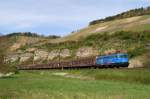 1042 520 mit DGS 88913 bei Himmelstadt (22.04.2010)