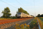 Die Prima 37016 mit einem Kesselwagenzug am 11.09.2016 in Nassenheide.
Die Maschine wurde 2004 bei Alstom unter der Fabriknummer FRET T 016 gebaut und steht jetzt im Dienst der CTL Berlin.
