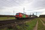 DB Cargo Siemens Vectron 193 309-2 mit KLV in Mainz Bischofsheim am 22.02.20