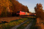 152 034 DB Cargo mit einem Containerzug bei Postbauer-Heng Richtung Nürnberg, 14.11.2020