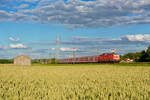 143 336 als S2 (Roth - Altdorf) bei Ludersheim, 03.07.2020