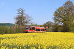643 075 unterwegs auf der Westmünsterlandbahn am 27.4.23 von Enschede nach Dortmund.