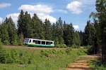 654 041 (VT41) als VBG20817 Zwickau - Graslitz (- Falkenau) im obervogtlndischen Wald zwischen Muldenberg und Schneck, 17.6.011.