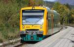 Waldbahn 650 071 | Einfahrt Bf Zwiesel | Oktober 2023