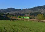 650 652 (VT 17) + 650 656 (VT 21) als WBA1 nach Bayerisch Eisenstein am 28.10.2014 bei Triefenried.