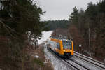 1648 202 als OPB 79728 von Regensburg nach Marktedwitz bei Naabdemenreuth, 03.01.2017