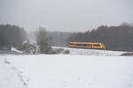 OPB 79723 von Marktredwitz nach Regensburg Hbf bei Oberteich, 12.01.2019