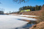 OPB 1 79716 von Regensburg Hbf nach Marktredwitz bei Oberteich, 17.02.2019