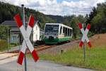 654 041 (VT41) als VBG20816 (Falkenau -) Graslitz - Zwotental in Zwota-Zechenbach, 19.7.011.