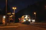 Wegen Arbeiten an einer Brücke war der Streckenabschnitt Elsterberg - Barthmühle gesperrt, VT50 (650 150) der VBG wartete daher am 15.09.2012 im Bf Barthmühle auf den SEV, um dann als