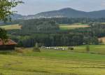 654 043 (VT 43) + 654 040 (VT 40) + 654 041 (VT 41) als Schlerzug nach Lam am 30.09.2013 bei Hohenwarth.