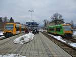 Waldbahn Stadler Regioshuttle VT650.66 und VT650 651 am 20.02.18 in Zwiesel.