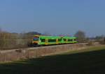 650 650 (VT 15) + 650 651 (VT 16) als WBA1 nach Plattling am 14.03.2014 bei Triefenried.