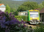 VT 15 (650 650) Waldbahn in Bodenmais am 14.08.2016.