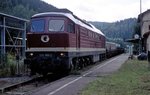 232 088  Bad Teinach  15.08.06