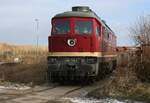 132 334-4 / 232 334-3 D-EBS / Hafenbahn Ladebow / von Strasse Uferring aus aufgenommen / Januar 2022