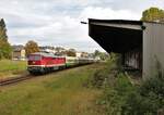 132 293 (EBS) fuhr am 03.10.21 den  Zug der Einheit  von Gera nach Nürnberg. Ich habe den Zug in Triebes erwartet.