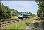 Am 14.06.2021 um 15.34 Uhr ist hier die Eurobahn in Form des ET 9.04 hier in Lengerich Schollbruch als RB 66 nach Münster unterwegs.