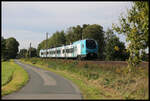 ET 4.04 der Eurobahn ist hier am 26.9.2023 um 16.00 Uhr kurz vor Westerhausen auf dem Weg nach Bielefeld.