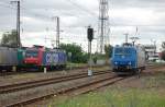 Eine Baureihe, 3 verschiedene EVU: Rechts 185 550 + 185 563 (Captrain) , Mitte 482 000-7 (SBB Cargo) und ganz rechts 185 521-2 (HGK).