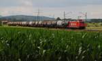 Der zweite HGK-Gterzug im Blockabstand. Diesmal war es die 185 585 mit ihrem Kesselzug, die ich in der Nhe von Trieb am 23.06.2011 ablichten konnte.