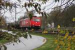 Ein Blick durch das schwindende Blätterwerk auf HGK 185 584-0 mit Kesselwagenzug in Fahrtrichtung Norden. Aufgenommen am 10.11.2013 bei Wehretal-Reichensachsen.