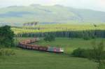 Vor der Kulisse des 850m hohen Hohnekopf fhrt ein Kalkschotterzug ber die Hornberger Wiesen und nhert sich Elbingerode/Harz; 27.05.2009