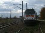 Hvle Maxima V490.3,am 23.Oktober 2013,mit mehren Kieswagen in Bergen/Rgen.