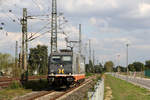 Hector Rail 241 012  Chewbacca  // Krefeld // 23.