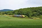 HLB/TSB Alstom Lint 41 VT201 am 11.06.19 bei Königstein 