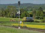 Abgesang auf die Taunus Elevated.

648 401 HLB VT201 bei Wehrheim auf dem Weg nach Bad Homburg. Mai 2022.