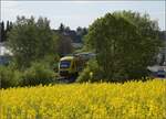 Abgesang auf die Taunus Elevated.

648 410 HLB VT210 bei Wehrheim auf dem Weg nach Grävenwiesbach. Mai 2022.