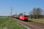 Die bestens gepflegte HGK 145-CL 012 mit einem Kesselzug auf der Fahrt gen Glasower Damm (Diedersdorf 07.04.10) 