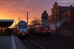 185 632-7 Alpha Trains fr HGK - Hfen und Gterverkehr Kln AG [HGK 2067] mit einem Kesselzug  Umweltgefhrdender Stoff, flssig  in Rathenow und fuhr in Richtung Wustermark weiter.