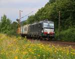 193 874 mit Containerzug in Fahrtrichtung Süden.