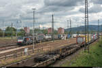 Basel Badischer Bahnhof am 6.