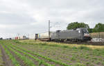 MRCE mit der 182 537-1 in Front, unterwegs nach Hamburg mit Sattelauflieger.