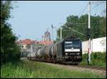 MRCE 185 555-0  Antje  mit dem lpendel von Stendell nach Rostock-Seehafen am 06.06.2007 zwischen Hbf Stralsund und Hp Grnhufe.