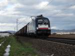 MRCE/Dispolok TX Logistik ES 64 U2-099 (182 099) am 11.01.15 bei Ladenburg auf der Main Neckar Bahn 