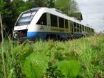 Zur Rckfahrt nach Parchim ein Lint der OLA im Bahnhof Gadebusch