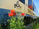 Blumen am Bahnsteig von Rehna hier mit VT 701 der OLA am 03.06.2010