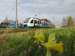 VT 702 der OLA Schwerin auf der Fahrt von Parchim nach Rehan hier bei einem kurzen Zwischenstop im Bahnhof von Crivitz am 16.04.2011