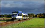 Ostseeland Verkehr GmbH VT 0008 als OLA 79799 von Btzow nach Ueckermnde Stadthafen am 18.10.13 in Torgelow