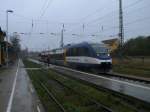 OLA VT0006 auf der Fahrt von Stralsund nach Neustrelitz beim Zwischenhalt,am 02.November 2013,im verregnten Demmin.