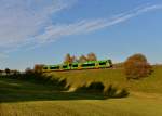 VT 15 + VT 21 der Waldbahn von Plattling nach Bayerisch Eisenstein am 21.10.2012 unterwegs bei Triefenried.