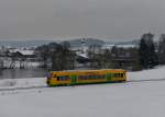 650 666 (VT 33) nach Lam am 18.01.2013 bei Miltach.