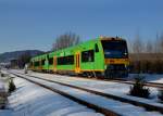 650 651 (VT 16) + 650 659 (VT 24) als RB nach Plattling am 03.03.2013 bei Triefenried.