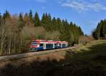 650 563 (VT 63) + 650 565 (VT 65) als RB nach Plattling am 10.04.2013 bei Auerbach.